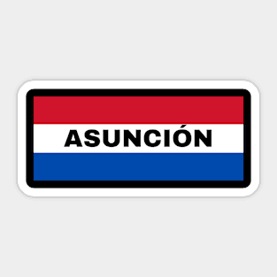 Asunción City in Paraguay Flag Colors Sticker